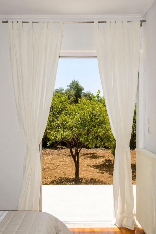 Naftilos Blue View Retreat Avía Exterior foto